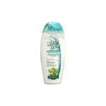 WASH & GO REFRESING WATER MINT SHOWER SHAMPOO